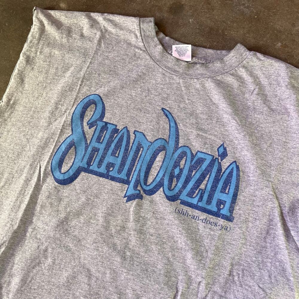 Rare 90s one of kind Shandozia bootleg AAA Qwest vybesquad cut sleeves T-shirt